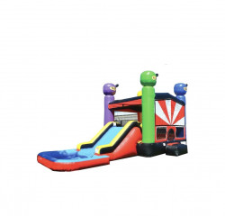 Ninja Bounce House with Slide (with Pool)